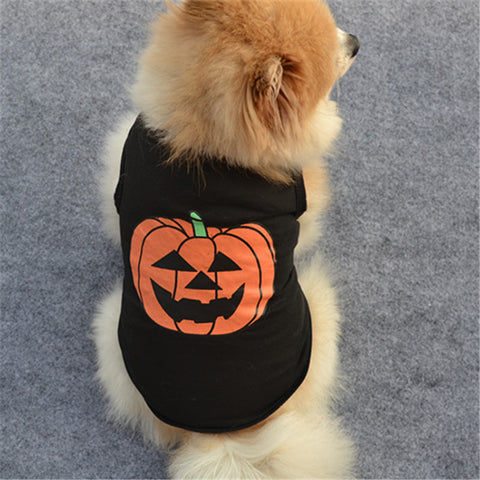 Pumpkin Halloween Costume for Pet