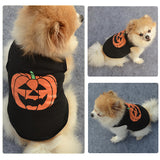 Pumpkin Halloween Costume for Pet