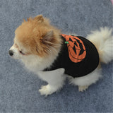 Pumpkin Halloween Costume for Pet