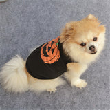 Pumpkin Halloween Costume for Pet