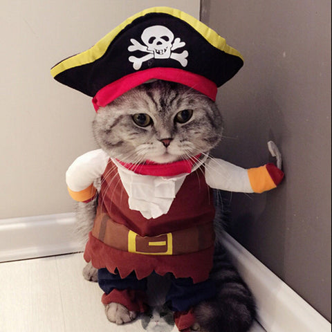 Pirate Christmas Costume for Pet